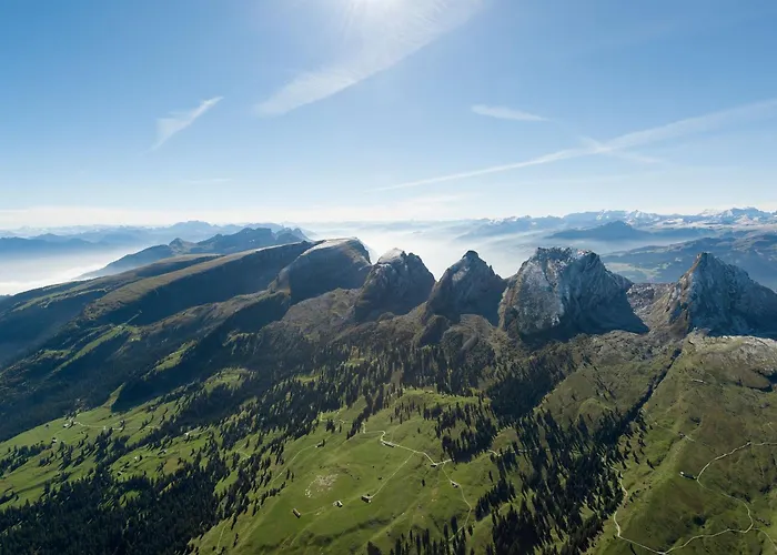 Hotel Restaurant Roessli 2*