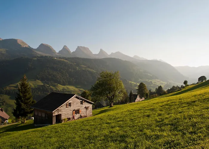 Restaurant Roessli 호텔 2*