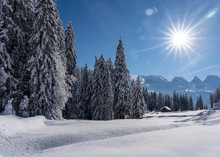 Restaurant Roessli Hotel