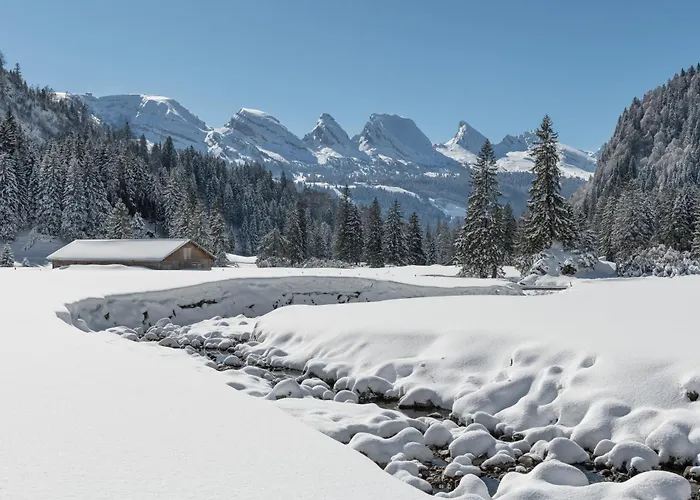 호텔 Restaurant Roessli 2*