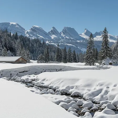 Отель Restaurant Roessli 2*